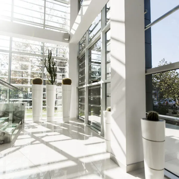 Interior of the modern office building in the sunlight