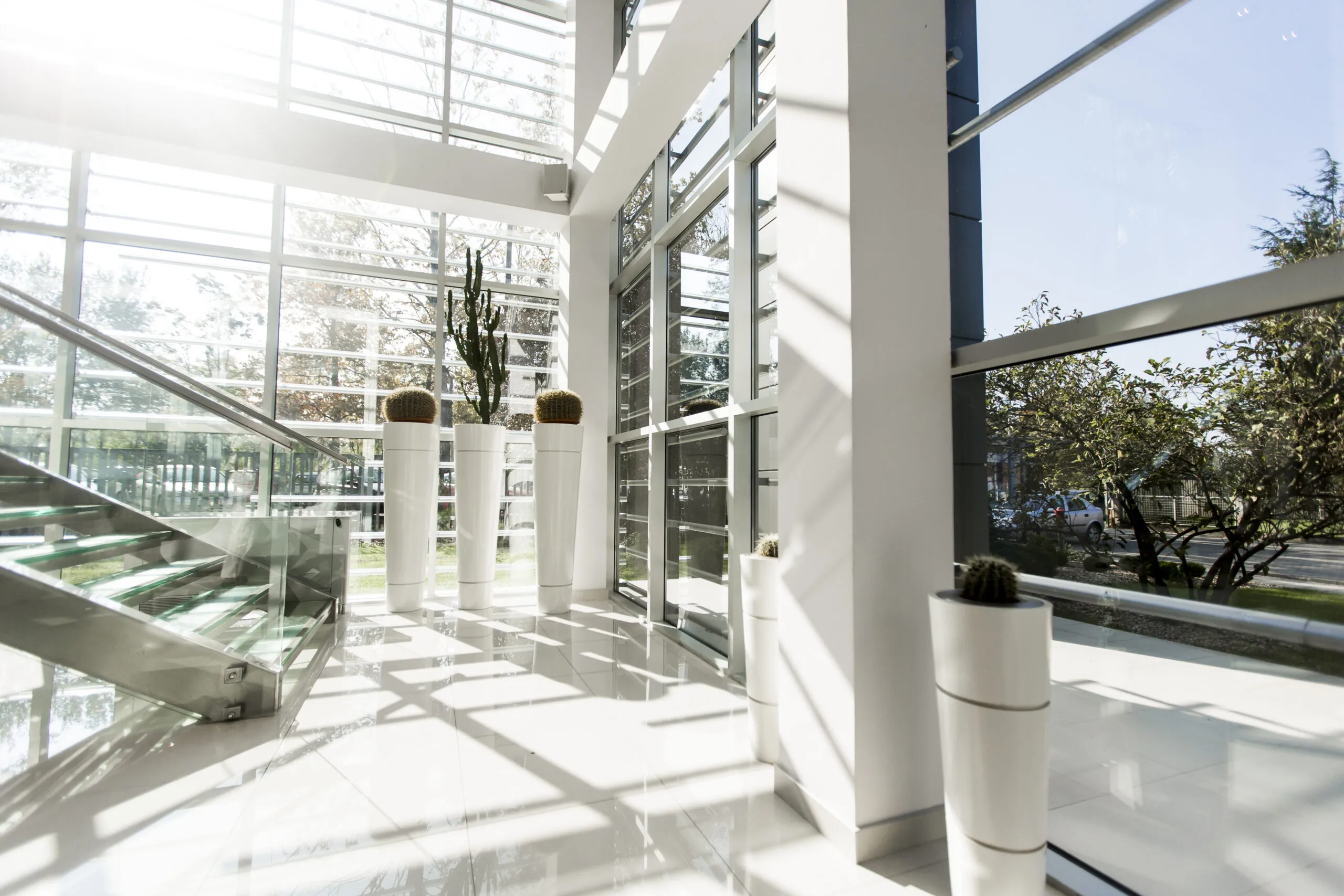 Interior of the modern office building in the sunlight